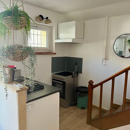 Le Patio, T2 En Centre * Montauban