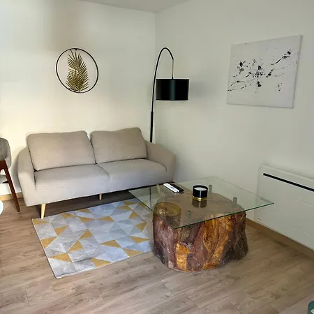 Le Patio, T2 En Centre Daire Montauban