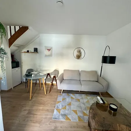 Le Patio, T2 En Centre Appartement Montauban