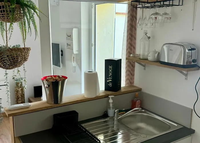 Le Patio, T2 En Centre Montauban