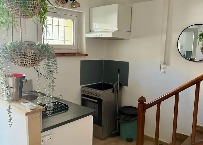 Le Patio, T2 En Centre * Montauban